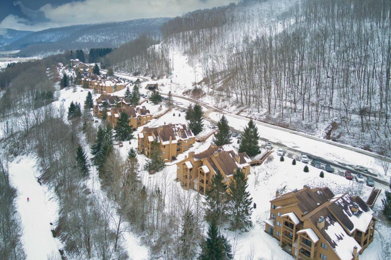 Ski-Inandout And Golf Condo With Aandc At Holiday Valley! 埃利科特维尔 外观 照片